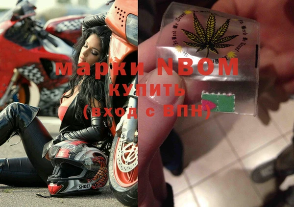 прущая мука Ельня