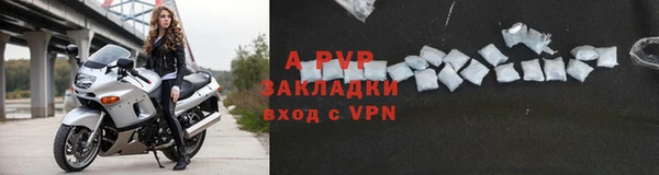 прущая мука Ельня