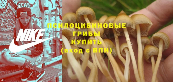 мяу мяу кристалл Елабуга
