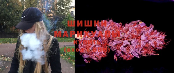 прущая мука Ельня