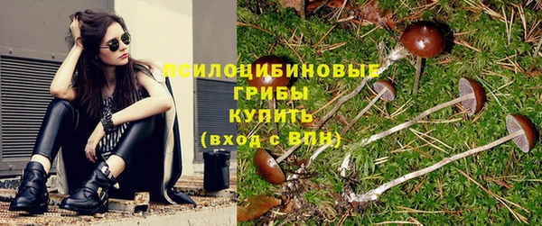 прущая мука Ельня