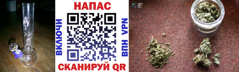 Купить где  Севск  Каннабис OG Kush 